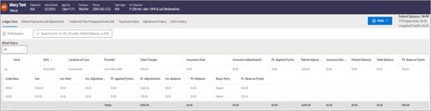 Patient example ledger view